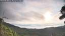 ./images/calvert/fitz-hugh-hecate/20260908/fitz-hugh-hecate20260908_082001M.jpg