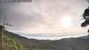 ./images/calvert/fitz-hugh-hecate/20260908/fitz-hugh-hecate20260908_082501M.jpg