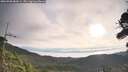 ./images/calvert/fitz-hugh-hecate/20260908/fitz-hugh-hecate20260908_083001M.jpg