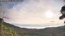 ./images/calvert/fitz-hugh-hecate/20260908/fitz-hugh-hecate20260908_083501M.jpg