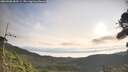 ./images/calvert/fitz-hugh-hecate/20260908/fitz-hugh-hecate20260908_084501M.jpg