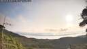 ./images/calvert/fitz-hugh-hecate/20260908/fitz-hugh-hecate20260908_085001M.jpg
