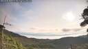 ./images/calvert/fitz-hugh-hecate/20260908/fitz-hugh-hecate20260908_085501M.jpg