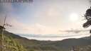 ./images/calvert/fitz-hugh-hecate/20260908/fitz-hugh-hecate20260908_090001M.jpg