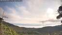 ./images/calvert/fitz-hugh-hecate/20260908/fitz-hugh-hecate20260908_090501M.jpg