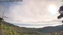 ./images/calvert/fitz-hugh-hecate/20260908/fitz-hugh-hecate20260908_092002M.jpg