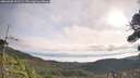 ./images/calvert/fitz-hugh-hecate/20260908/fitz-hugh-hecate20260908_092502M.jpg