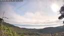 ./images/calvert/fitz-hugh-hecate/20260908/fitz-hugh-hecate20260908_093002M.jpg