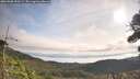 ./images/calvert/fitz-hugh-hecate/20260908/fitz-hugh-hecate20260908_093501M.jpg