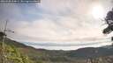 ./images/calvert/fitz-hugh-hecate/20260908/fitz-hugh-hecate20260908_094001M.jpg