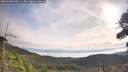 ./images/calvert/fitz-hugh-hecate/20260908/fitz-hugh-hecate20260908_094501M.jpg