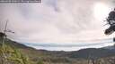 ./images/calvert/fitz-hugh-hecate/20260908/fitz-hugh-hecate20260908_095001M.jpg