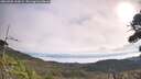 ./images/calvert/fitz-hugh-hecate/20260908/fitz-hugh-hecate20260908_100001M.jpg
