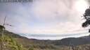 ./images/calvert/fitz-hugh-hecate/20260908/fitz-hugh-hecate20260908_101001M.jpg
