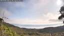 ./images/calvert/fitz-hugh-hecate/20260908/fitz-hugh-hecate20260908_102001M.jpg