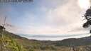 ./images/calvert/fitz-hugh-hecate/20260908/fitz-hugh-hecate20260908_102502M.jpg