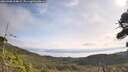 ./images/calvert/fitz-hugh-hecate/20260908/fitz-hugh-hecate20260908_104002M.jpg