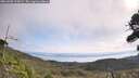 ./images/calvert/fitz-hugh-hecate/20260908/fitz-hugh-hecate20260908_105001M.jpg