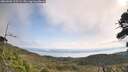 ./images/calvert/fitz-hugh-hecate/20260908/fitz-hugh-hecate20260908_105501M.jpg