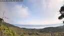 ./images/calvert/fitz-hugh-hecate/20260908/fitz-hugh-hecate20260908_111001M.jpg