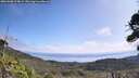 ./images/calvert/fitz-hugh-hecate/20260908/fitz-hugh-hecate20260908_114001M.jpg
