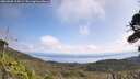 ./images/calvert/fitz-hugh-hecate/20260908/fitz-hugh-hecate20260908_115001M.jpg