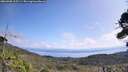 ./images/calvert/fitz-hugh-hecate/20260908/fitz-hugh-hecate20260908_115501M.jpg