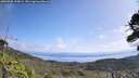 ./images/calvert/fitz-hugh-hecate/20260908/fitz-hugh-hecate20260908_120002M.jpg
