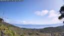 ./images/calvert/fitz-hugh-hecate/20260908/fitz-hugh-hecate20260908_120501M.jpg