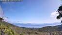 ./images/calvert/fitz-hugh-hecate/20260908/fitz-hugh-hecate20260908_123001M.jpg