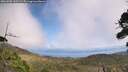 ./images/calvert/fitz-hugh-hecate/20260908/fitz-hugh-hecate20260908_130501M.jpg