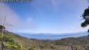 ./images/calvert/fitz-hugh-hecate/20260908/fitz-hugh-hecate20260908_131501M.jpg
