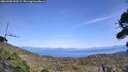./images/calvert/fitz-hugh-hecate/20260908/fitz-hugh-hecate20260908_143501M.jpg