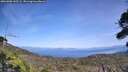 ./images/calvert/fitz-hugh-hecate/20260908/fitz-hugh-hecate20260908_145501M.jpg