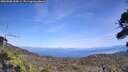 ./images/calvert/fitz-hugh-hecate/20260908/fitz-hugh-hecate20260908_150001M.jpg