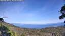 ./images/calvert/fitz-hugh-hecate/20260908/fitz-hugh-hecate20260908_152001M.jpg
