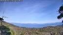 ./images/calvert/fitz-hugh-hecate/20260908/fitz-hugh-hecate20260908_152501M.jpg