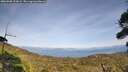 ./images/calvert/fitz-hugh-hecate/20260908/fitz-hugh-hecate20260908_153001M.jpg