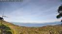 ./images/calvert/fitz-hugh-hecate/20260908/fitz-hugh-hecate20260908_153501M.jpg