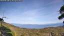 ./images/calvert/fitz-hugh-hecate/20260908/fitz-hugh-hecate20260908_154001M.jpg