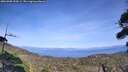 ./images/calvert/fitz-hugh-hecate/20260908/fitz-hugh-hecate20260908_154501M.jpg