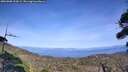 ./images/calvert/fitz-hugh-hecate/20260908/fitz-hugh-hecate20260908_155001M.jpg