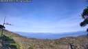./images/calvert/fitz-hugh-hecate/20260908/fitz-hugh-hecate20260908_155501M.jpg