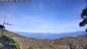 ./images/calvert/fitz-hugh-hecate/20260908/fitz-hugh-hecate20260908_160001M.jpg