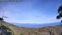./images/calvert/fitz-hugh-hecate/20260908/fitz-hugh-hecate20260908_160501M.jpg