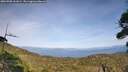 ./images/calvert/fitz-hugh-hecate/20260908/fitz-hugh-hecate20260908_161001M.jpg