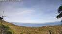 ./images/calvert/fitz-hugh-hecate/20260908/fitz-hugh-hecate20260908_161501M.jpg