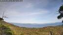 ./images/calvert/fitz-hugh-hecate/20260908/fitz-hugh-hecate20260908_162001M.jpg