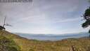 ./images/calvert/fitz-hugh-hecate/20260908/fitz-hugh-hecate20260908_162502M.jpg