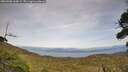 ./images/calvert/fitz-hugh-hecate/20260908/fitz-hugh-hecate20260908_163001M.jpg